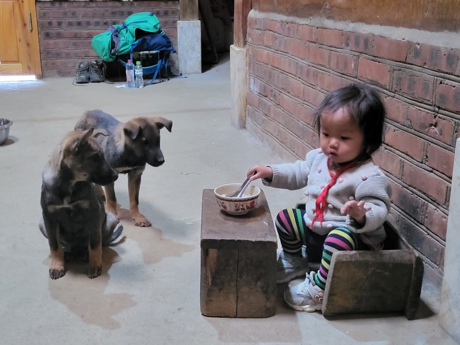 Proteccion Animal