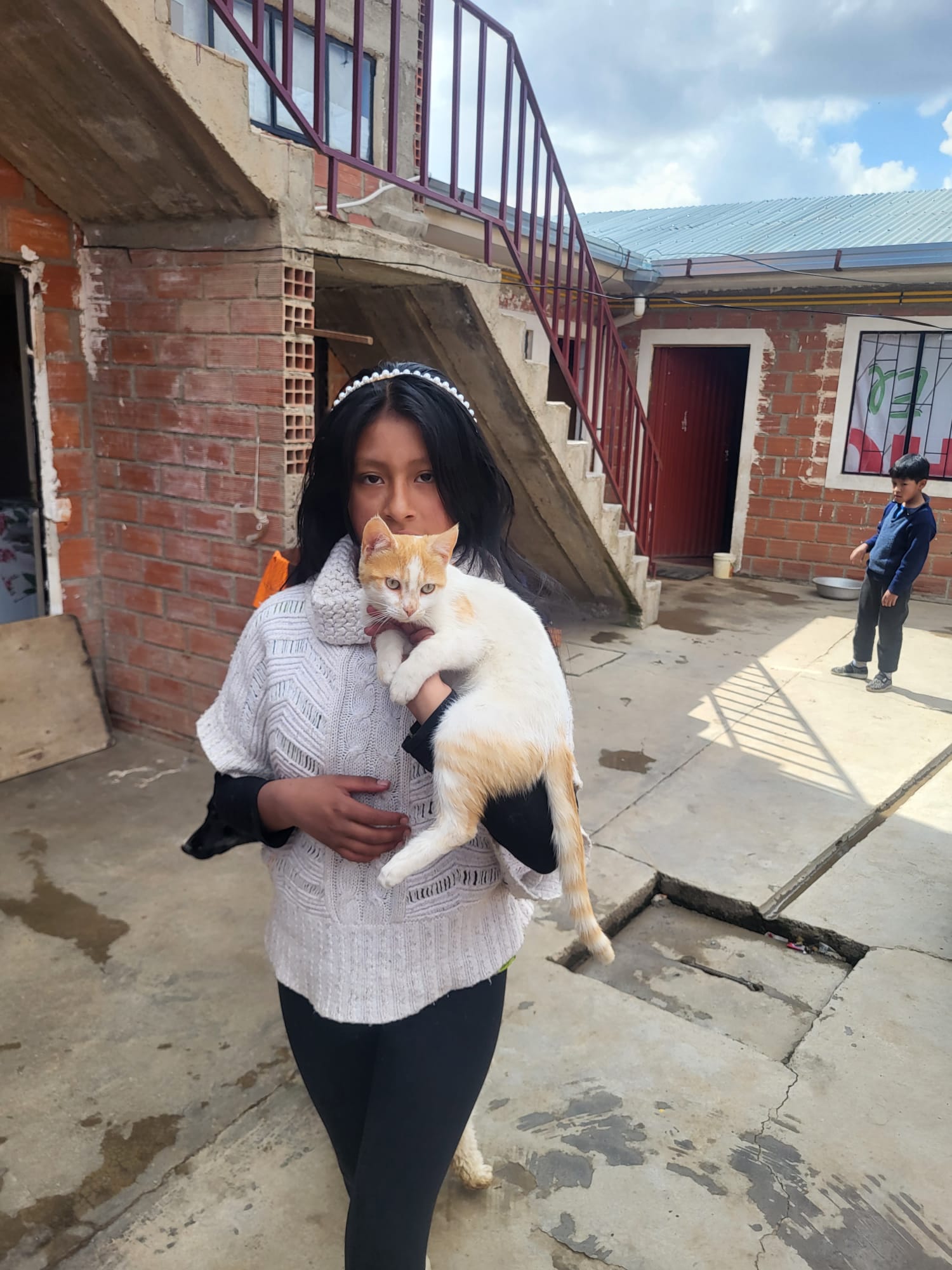 gato ubi swiss